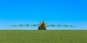 Beitragsbild des Blogbeitrags Gefährliches Neonicotinoid: Belastung in Lebensmitteln mehr als verdreifacht – foodwatch fordert Verbot von Insektengift Acetamiprid