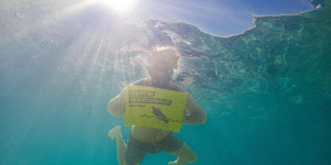 Beitragsbild des Blogbeitrags Greenpeace-Untersuchung: Mikroplastik in sieben beliebten Badegewässern in Österreich nachgewiesen
