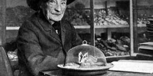Beitragsbild des Blogbeitrags Der „Homer der Insekten“: Zum 200. Geburtstag von Jean-Henri Fabre