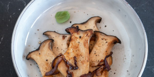 Beitragsbild des Blogbeitrags Angebratene Kräuterseitlinge | Einfaches Rezept