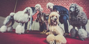 Beitragsbild des Blogbeitrags Johann Sebastian Bass – Dogma (EP)