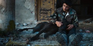 Beitragsbild des Blogbeitrags Untitled 
