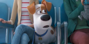 Beitragsbild des Blogbeitrags Trailer: The Secret Life of Pets 2