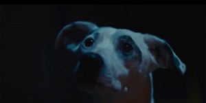 Beitragsbild des Blogbeitrags Clip des Tages: The Chemical Brothers – We’ve Got To Try