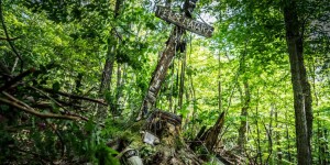 Beitragsbild des Blogbeitrags Friedhof der Kuscheltiere Gewinnspiel