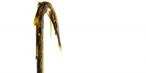 Beitragsbild des Blogbeitrags Trailer: Candyman