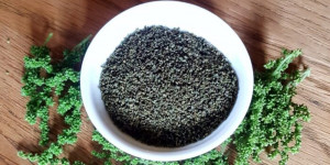 Beitragsbild des Blogbeitrags Brennnesselsamen: regionales Superfood und altes Aphrodisiakum