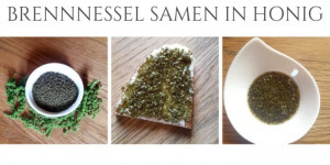 Beitragsbild des Blogbeitrags Brennesselsamen Anwendung: Kuchen für mehr Energie und Brennesselsamen in Honig
