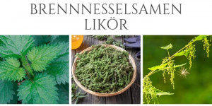 Beitragsbild des Blogbeitrags 2 Brennesselsamen Verwendungsmöglichkeiten: Likör