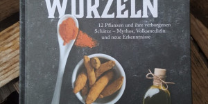 Beitragsbild des Blogbeitrags Die Heilkraft der Wurzeln