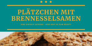 Beitragsbild des Blogbeitrags Plätzchen mit Brennesselsamen