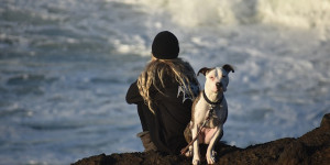 Beitragsbild des Blogbeitrags die drei phasen in der beziehung zum hund
