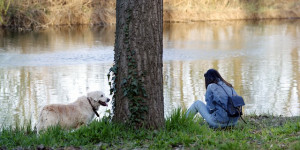 Beitragsbild des Blogbeitrags warum “doggy time” so viel bringt (und was das eigentlich ist)