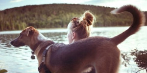 Beitragsbild des Blogbeitrags 5 tipps, wie man die beschäftigung mit dem hund zur verbesserung der beziehung nutzen kann