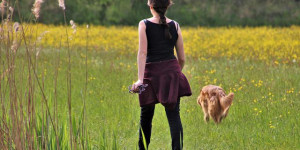 Beitragsbild des Blogbeitrags ohren auf durchzug? 3 missverständnisse, warum der hund nicht ansprechbar ist (teil 1)