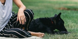 Beitragsbild des Blogbeitrags selbstsabotage in der hundeerziehung und wie du sie vermeidest