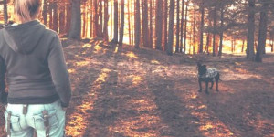 Beitragsbild des Blogbeitrags die rolle von raum, distanz und nähe im leben mit hund: 5 fragen und antworten