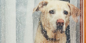 Beitragsbild des Blogbeitrags ein neues denkspiel für regentage 