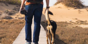 Beitragsbild des Blogbeitrags souveränes führen – wie geht das genau?