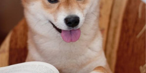 Beitragsbild des Blogbeitrags die 3 arten von denkspielen (und eines für dich!)