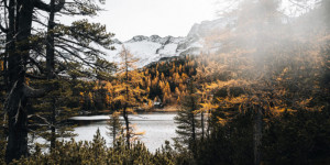 Beitragsbild des Blogbeitrags Herbstliche Wanderung zum Reedsee