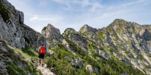 Beitragsbild des Blogbeitrags Ötscher (1.893 m) über den Rauhen Kamm (I+)