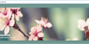 Beitragsbild des Blogbeitrags Sinnerfassend verstehen & über den Tellerrand blicken