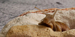 Beitragsbild des Blogbeitrags Was bringt mir das?