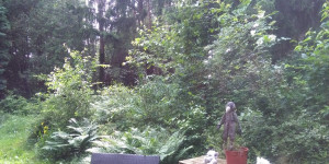 Beitragsbild des Blogbeitrags Neue Business Ideen finden