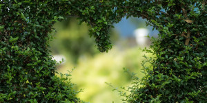 Beitragsbild des Blogbeitrags Lets talk about Love