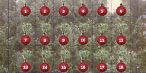 Beitragsbild des Blogbeitrags Hast du dich schon zum AdventKalender angemeldet?