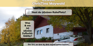 Beitragsbild des Blogbeitrags Ceteem net ist online