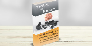 Beitragsbild des Blogbeitrags MindFuck oder MindSet? 