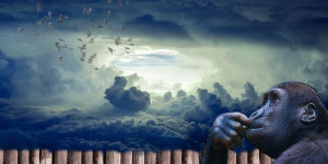 Beitragsbild des Blogbeitrags Narzisstisch veranlagte Menschen und ihre Flying Monkeys
