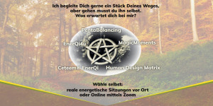 Beitragsbild des Blogbeitrags Die neue Ceteem Seite