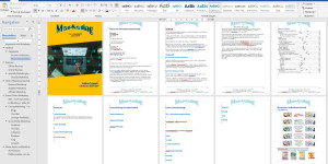 Beitragsbild des Blogbeitrags Wie schreibe ich ein Buch und mache das InhaltsVerzeichnis?