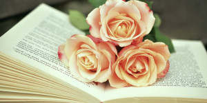 Beitragsbild des Blogbeitrags Sinnerfassend lesen und verstehen