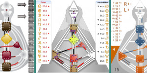 Beitragsbild des Blogbeitrags Human Design – Deine Veranlagung 