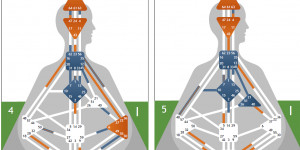 Beitragsbild des Blogbeitrags mein VaterThema aus Sicht der Human Design Matrix 