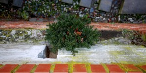 Beitragsbild des Blogbeitrags Zum Überkommen der Höhenangst