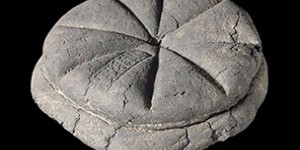 Beitragsbild des Blogbeitrags Rezept | 2000 Jahre altes Brot