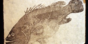 Beitragsbild des Blogbeitrags Gyotaku – Fische dokumentieren nach japanischer Art 