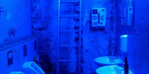 Beitragsbild des Blogbeitrags Die praktische Leiter am Wasserklosett