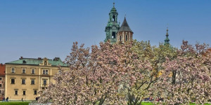 Beitragsbild des Blogbeitrags Krakau – Kultur und Kulinarik – Städtereisen