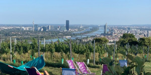 Beitragsbild des Blogbeitrags Wandern in Wien: los gehts! 