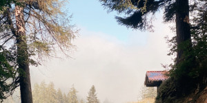 Beitragsbild des Blogbeitrags Interaktive Schnitzeljagd am Bürserberg: Familienwanderung mit Extra-Spass