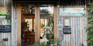 Beitragsbild des Blogbeitrags Ponyreiten auf dem Greußinghof in Lauterach