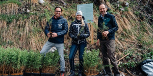 Beitragsbild des Blogbeitrags Helvetia Österreich Schutzwald-Initiative: Mehr als 100.000 Bäume in heimischen Wäldern gepflanzt
