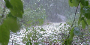 Beitragsbild des Blogbeitrags Donau Versicherung: Rasches Service nach den schweren Unwetterschäden
