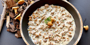 Beitragsbild des Blogbeitrags Pfifferlingsauce – köstliche Sauce mit Eierschwammerl